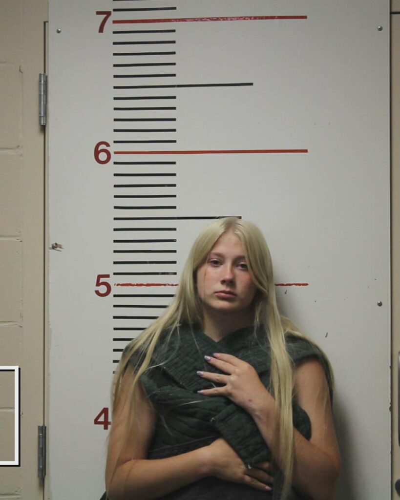 TRAMEL, JILLIAN ELIZABETH arrested in Anderson County, Texas mugshot