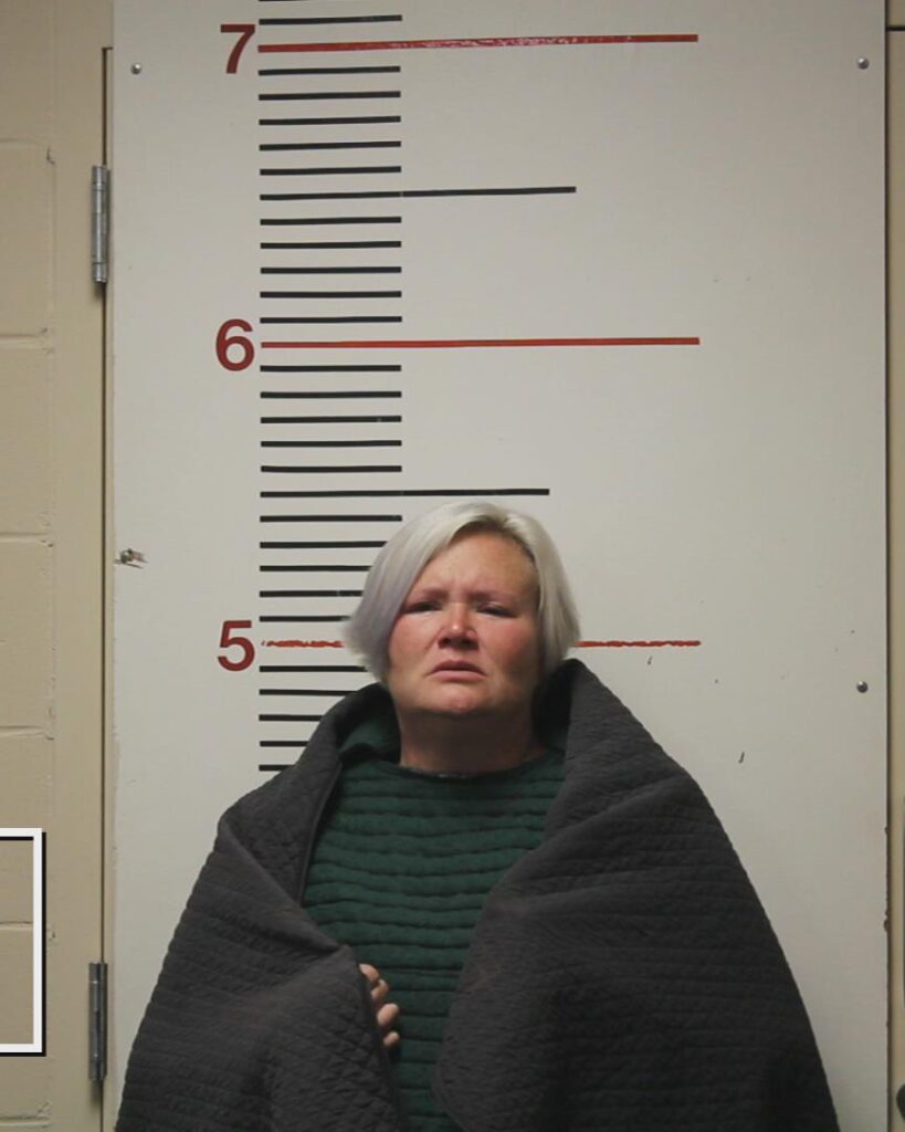 LANE, CHRISTINA SUE arrested in Anderson County, Texas mugshot