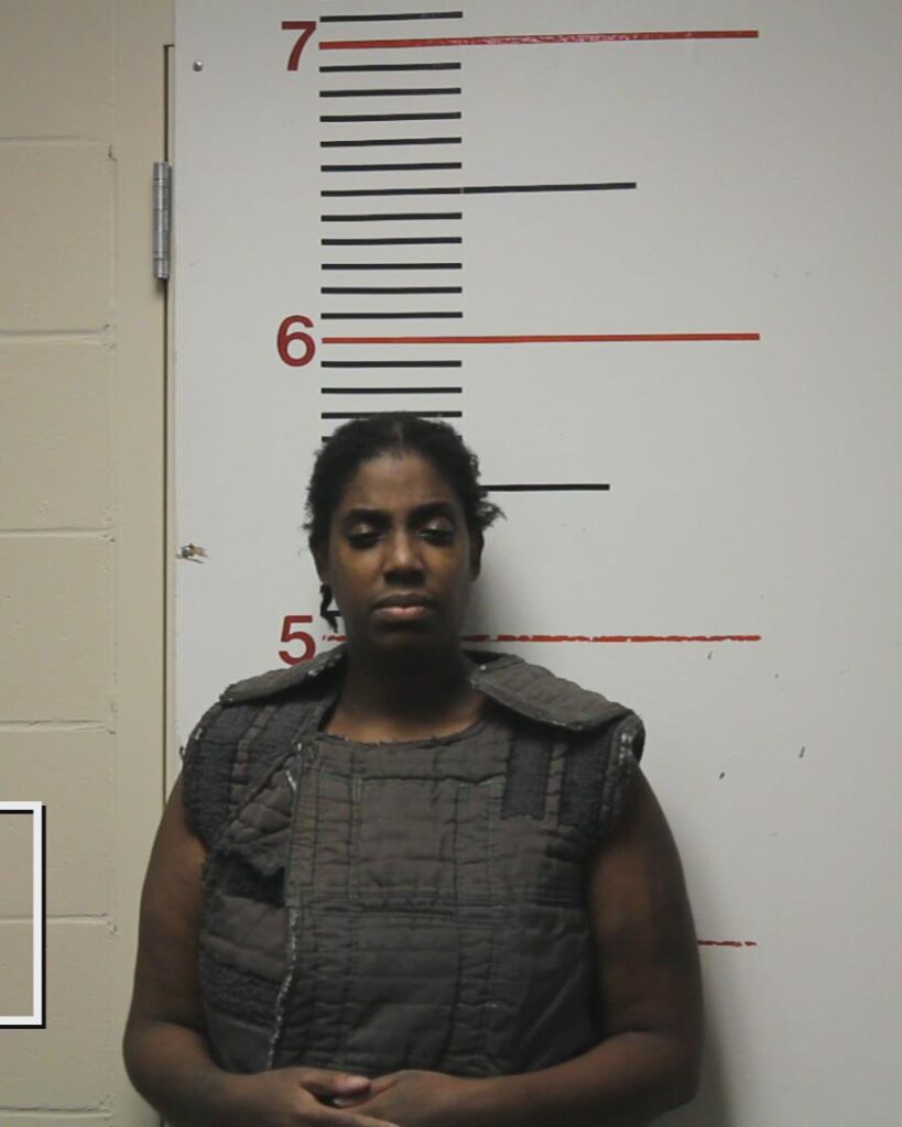 AYALA, CELESTINE SHAWANNA arrested in Anderson County, Texas mugshot