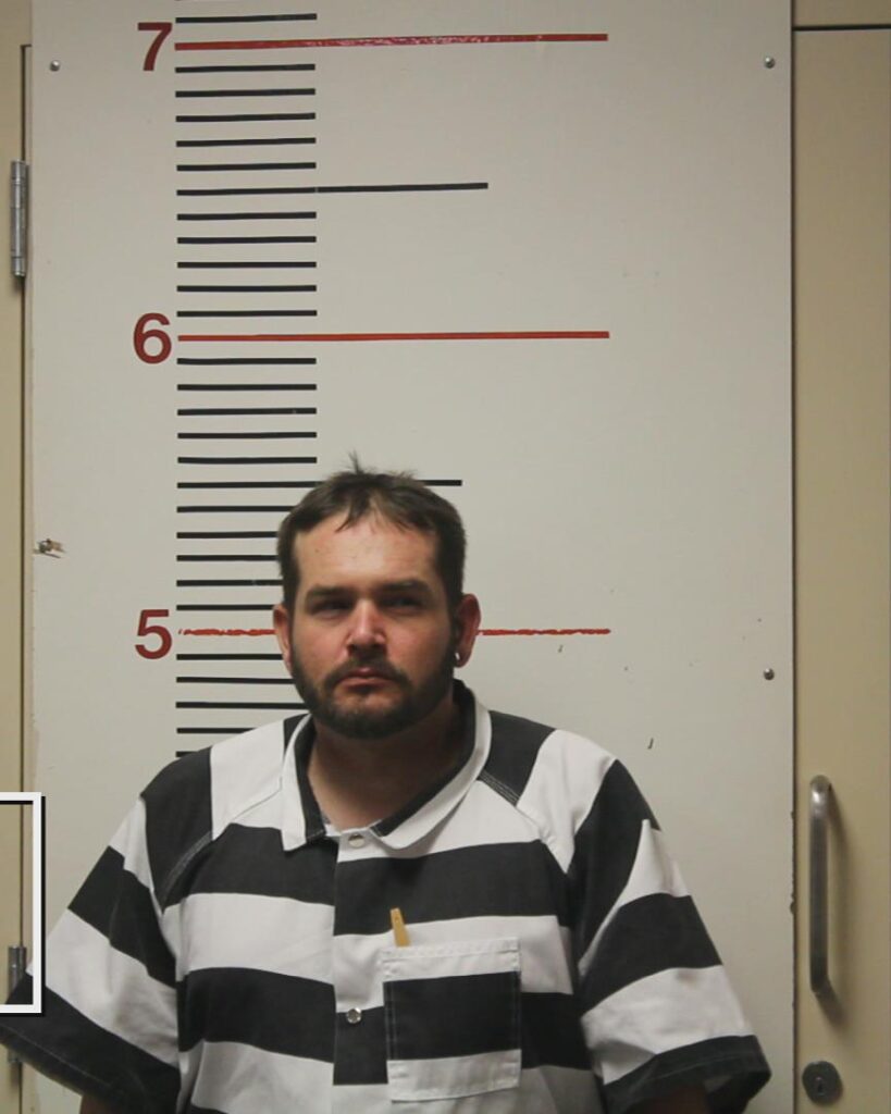 DEREESE, DYLAN arrested in Anderson County, Texas mugshot