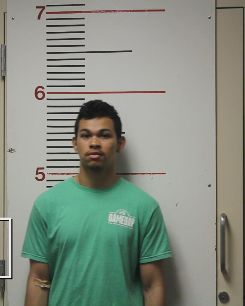DELGADO, SAMUELL JESUS arrested in Anderson County, Texas mugshot