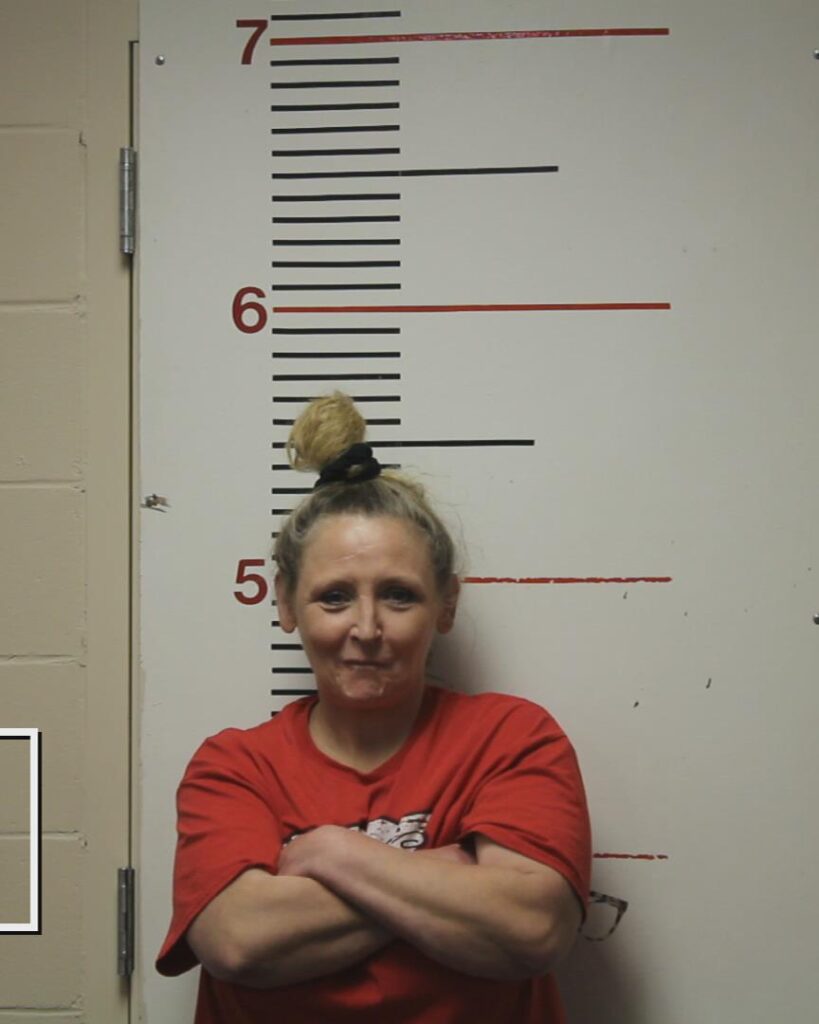 JOHNSTON, CATHERINE ANN arrested in Anderson County, Texas mugshot