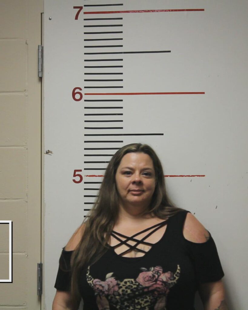 BELT, KATRINA RENEE arrested in Anderson County, Texas mugshot