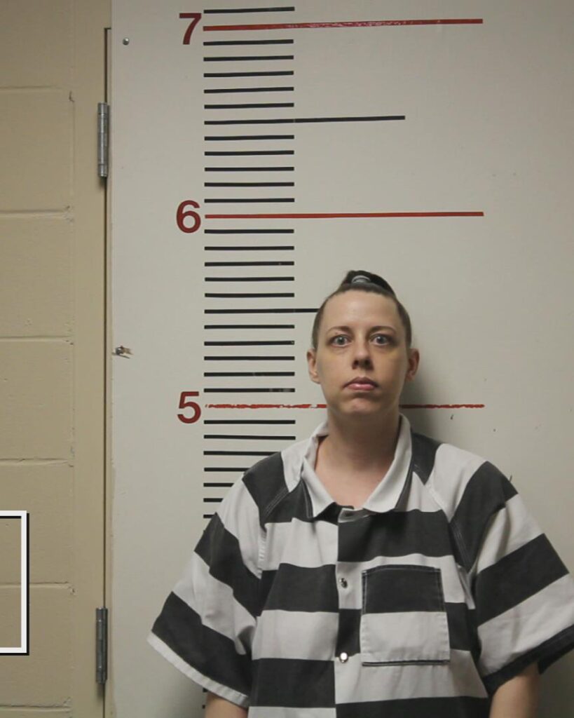 NIX, MALANE DENISE arrested in Anderson County, Texas mugshot