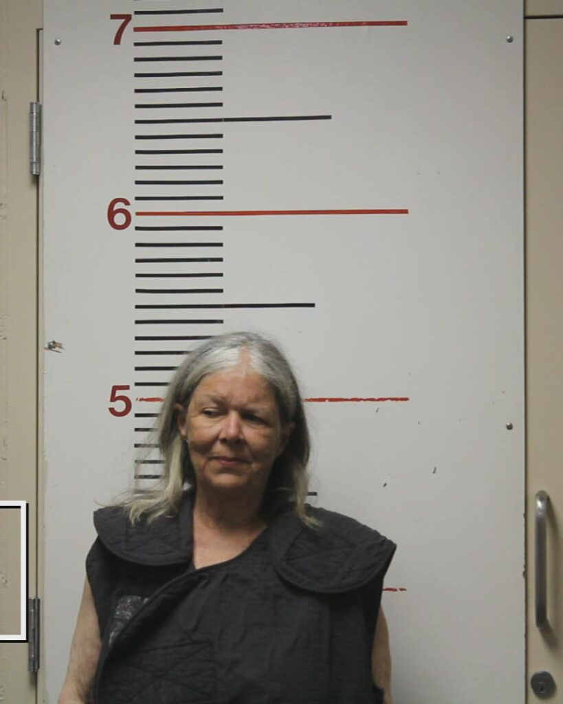 MURRAY, VICKI DELL arrested in Anderson County, Texas mugshot