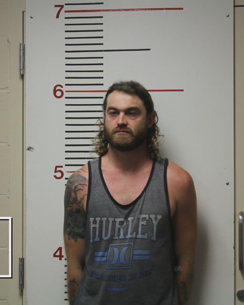 BAILEY, AARON JAMES arrested in Anderson County, Texas mugshot