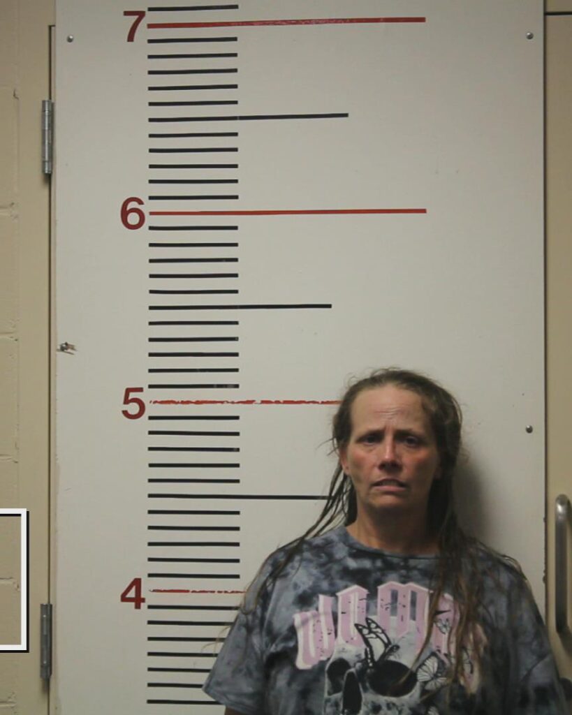 LINDERMAN, JANNA ANELL arrested in Anderson County, Texas mugshot
