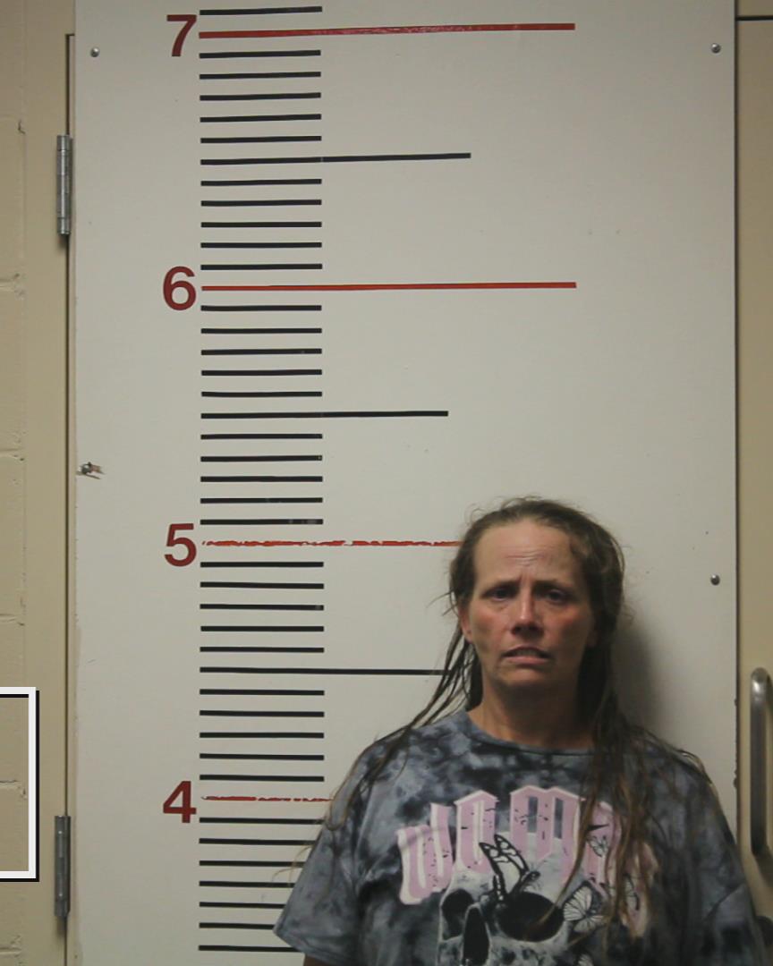 LINDERMAN, JANNA ANELL booking photo