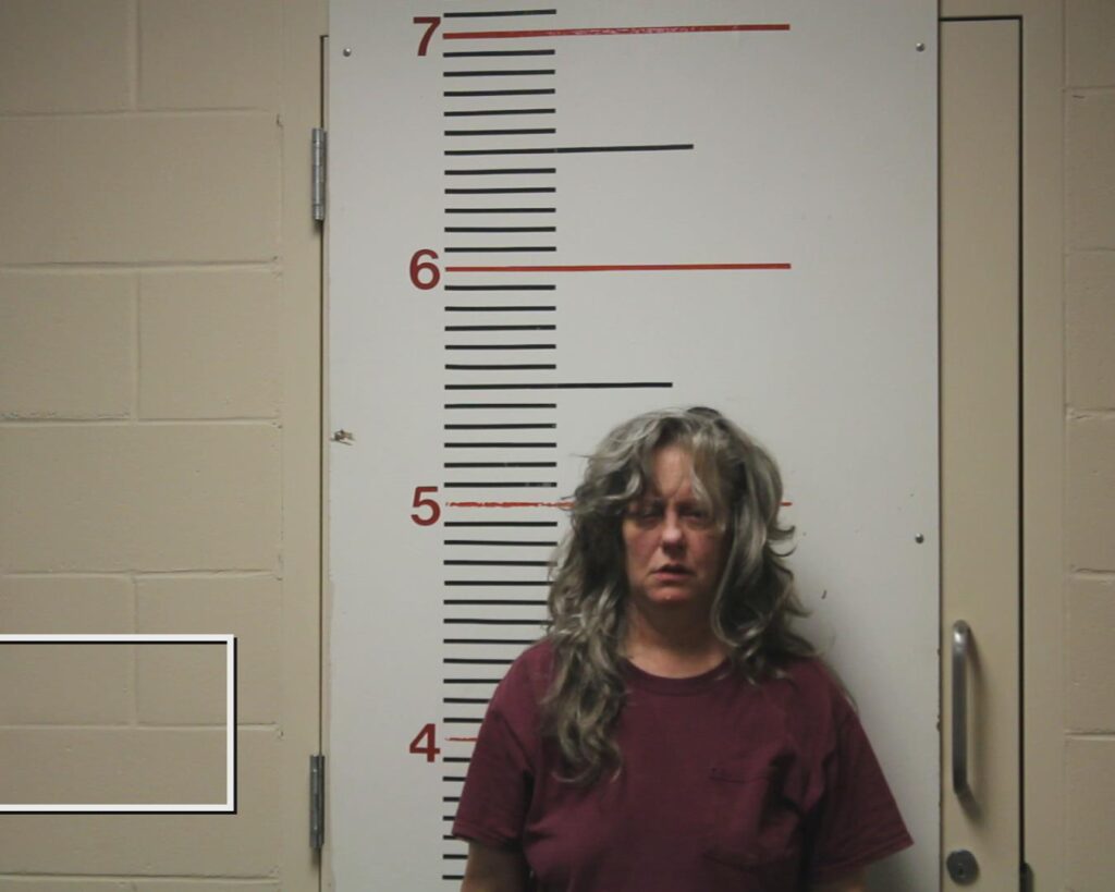 Hilborn, Lisa Jean arrest record in Anderson County, Texas Hilborn, Lisa Jean arrested in Anderson County, Texas mugshot