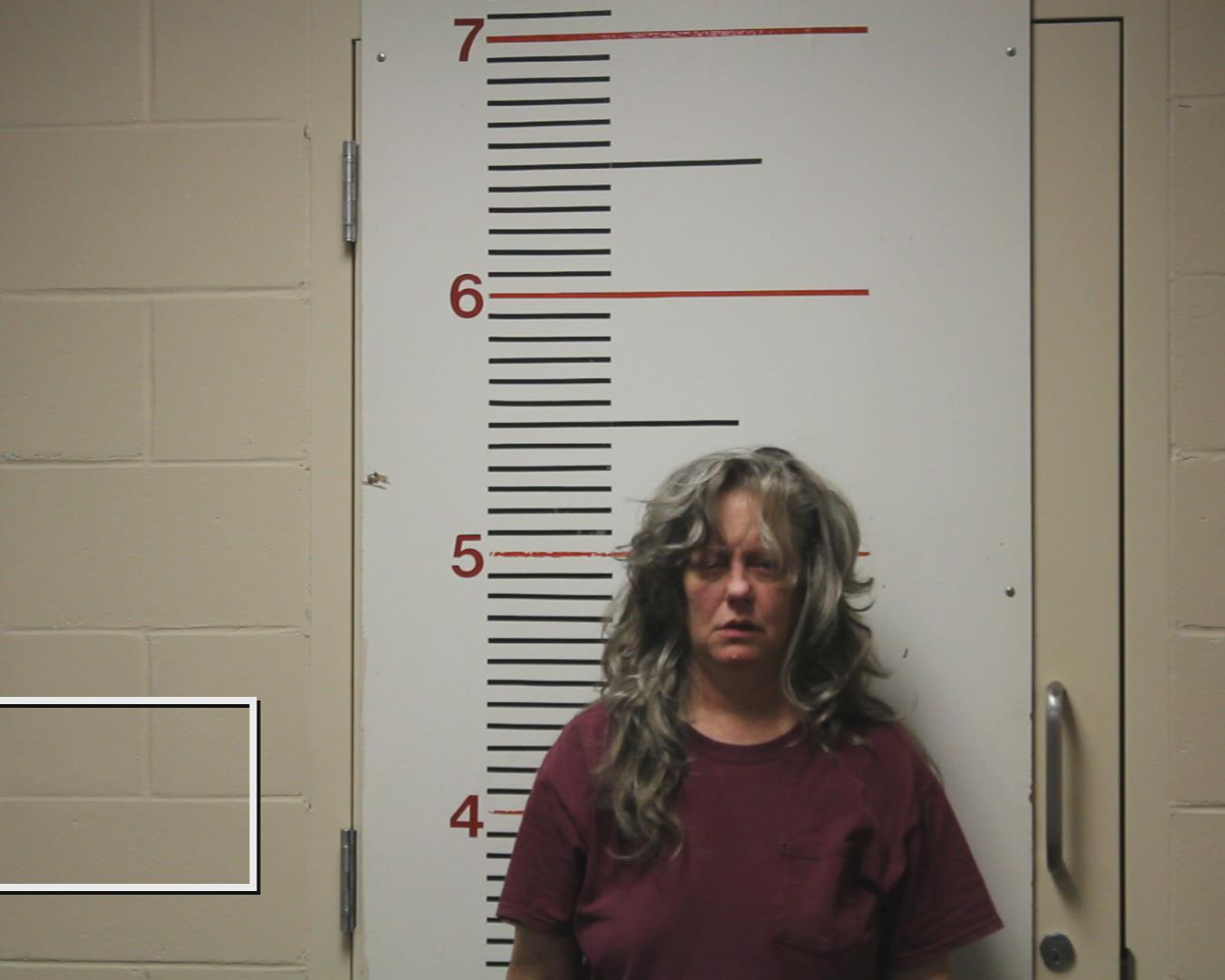 Hilborn, Lisa Jean booking photo