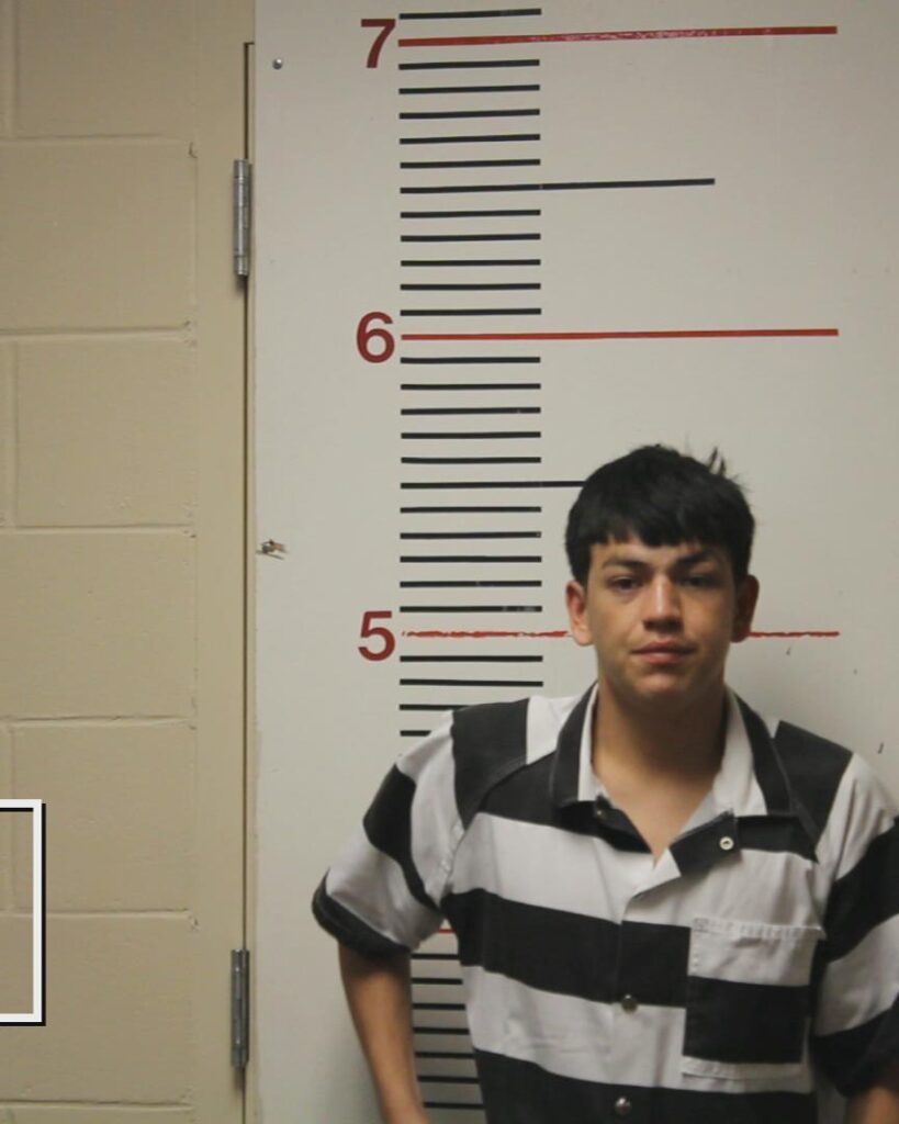 VILLALOBOS-FLORES, MARVIN OSARIS arrested in Anderson County, Texas mugshot