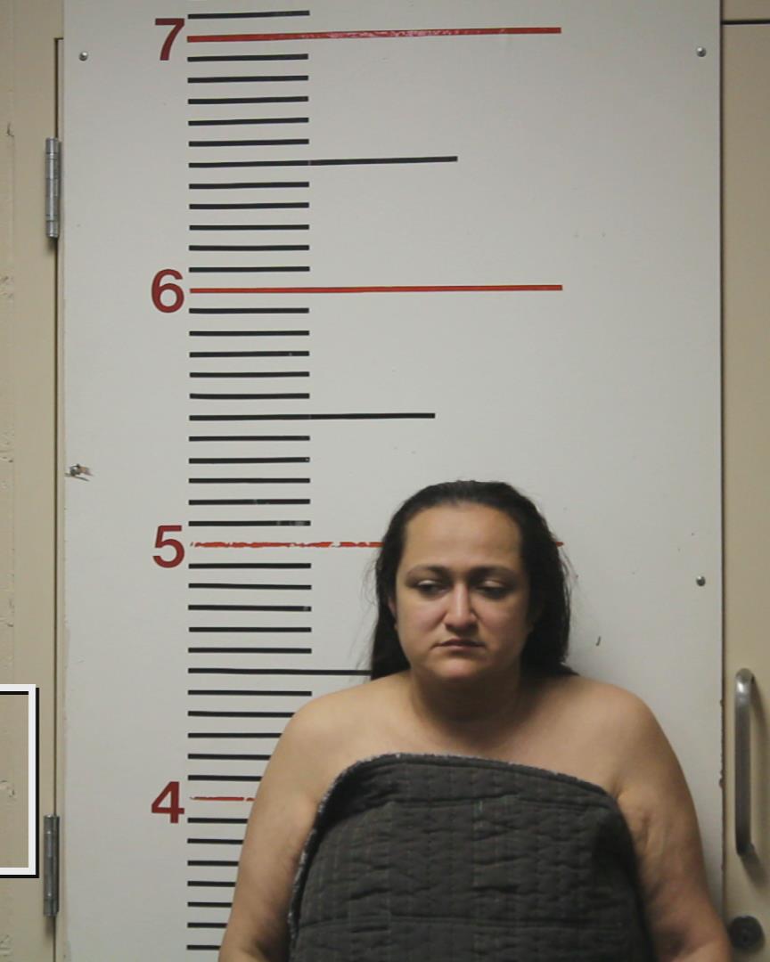 AYALA, YESENIA RAMIREZ booking photo