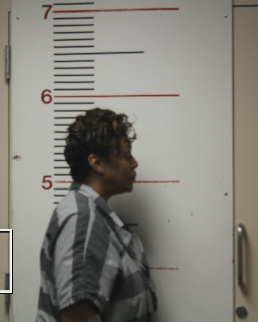 HAWKINS, SYLVIA booking photo