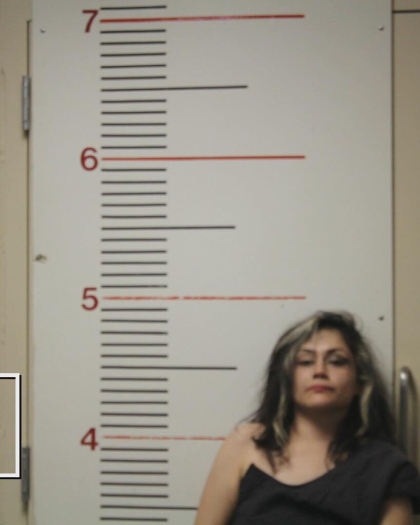 CHAVEZ, YESENIA MESHEL arrest record in Anderson County, Texas CHAVEZ, YESENIA MESHEL arrested in Anderson County, Texas mugshot