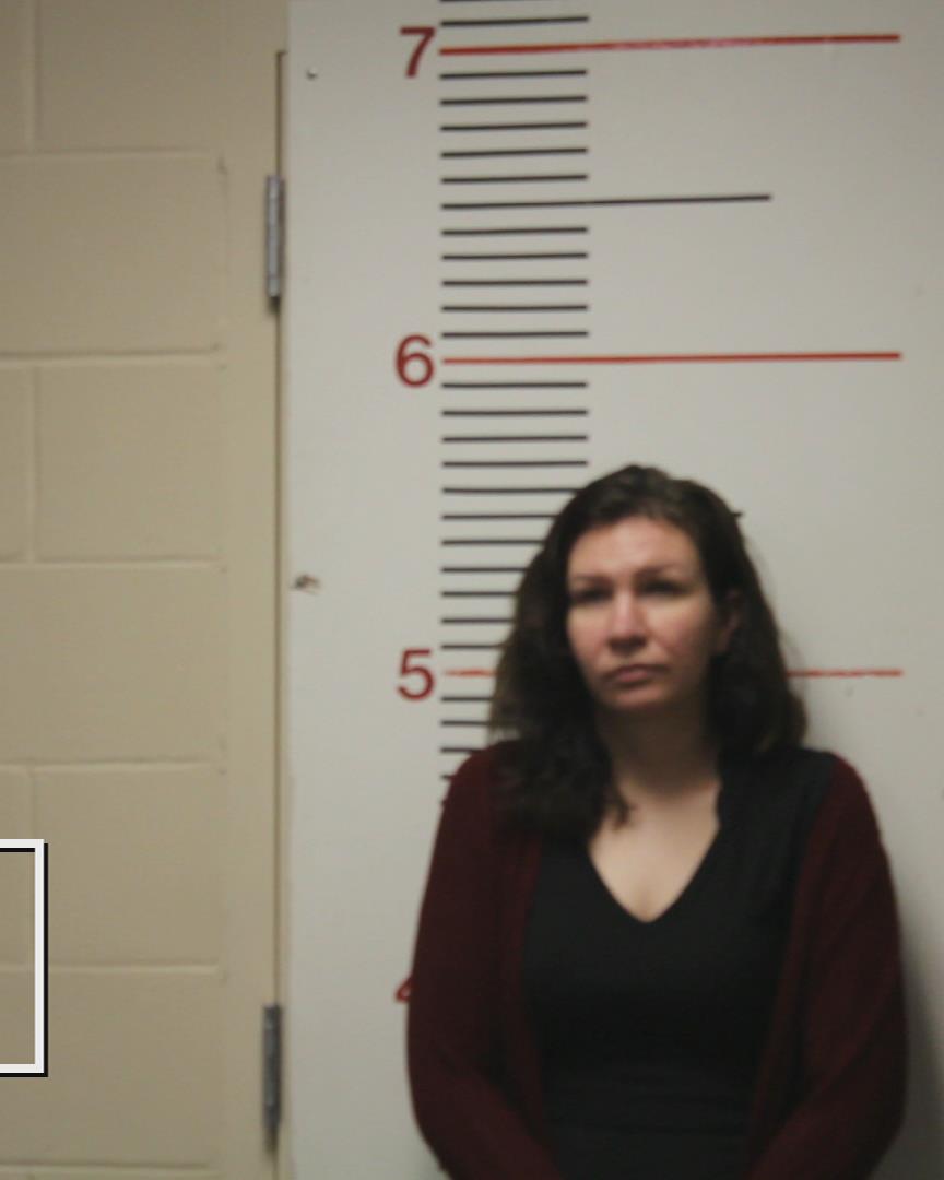 WILSON, JANICE ANN booking photo