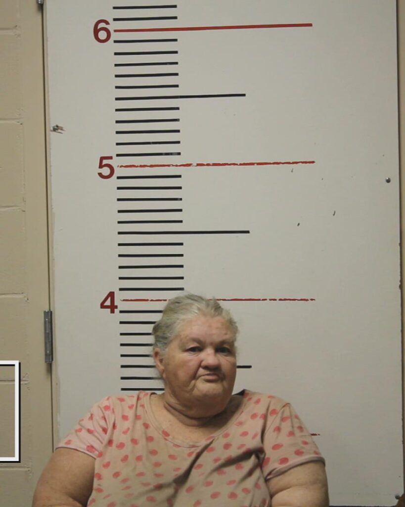 LAIRD, EVELYN IDA arrest record in Anderson County, Texas LAIRD, EVELYN IDA arrested in Anderson County, Texas mugshot