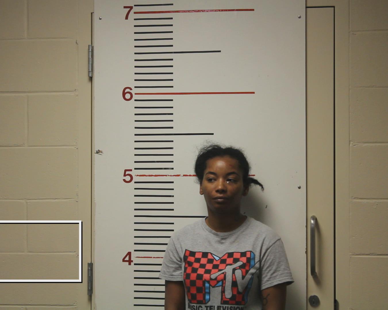 SPURLOCK, ALEXIS NICOLE booking photo