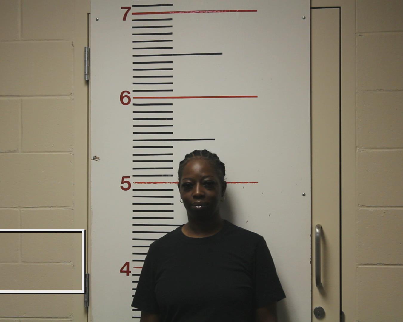 DONNELL, TAMARA DESHELL booking photo