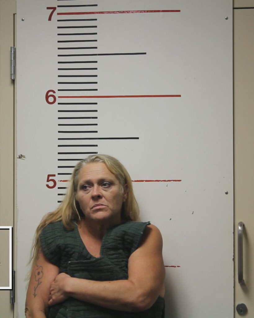 BEAIRD, JACQUEINE DIANNE arrested in Anderson County, Texas mugshot