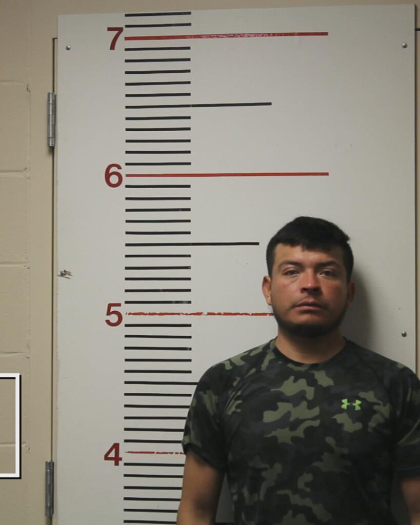 LEAL- AVILA, PEDRO JOSE arrested in Anderson County, Texas mugshot