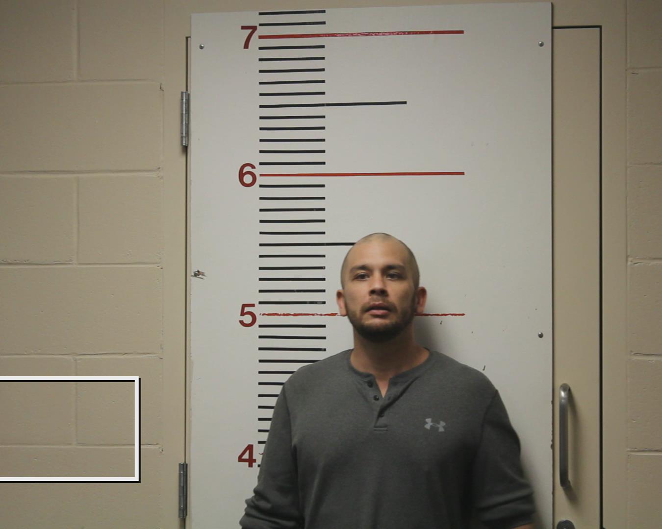 MOSER, HENRY ALLEN booking photo