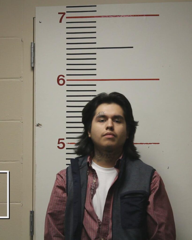LEANDRO, RICARDO arrested in Anderson County, Texas mugshot