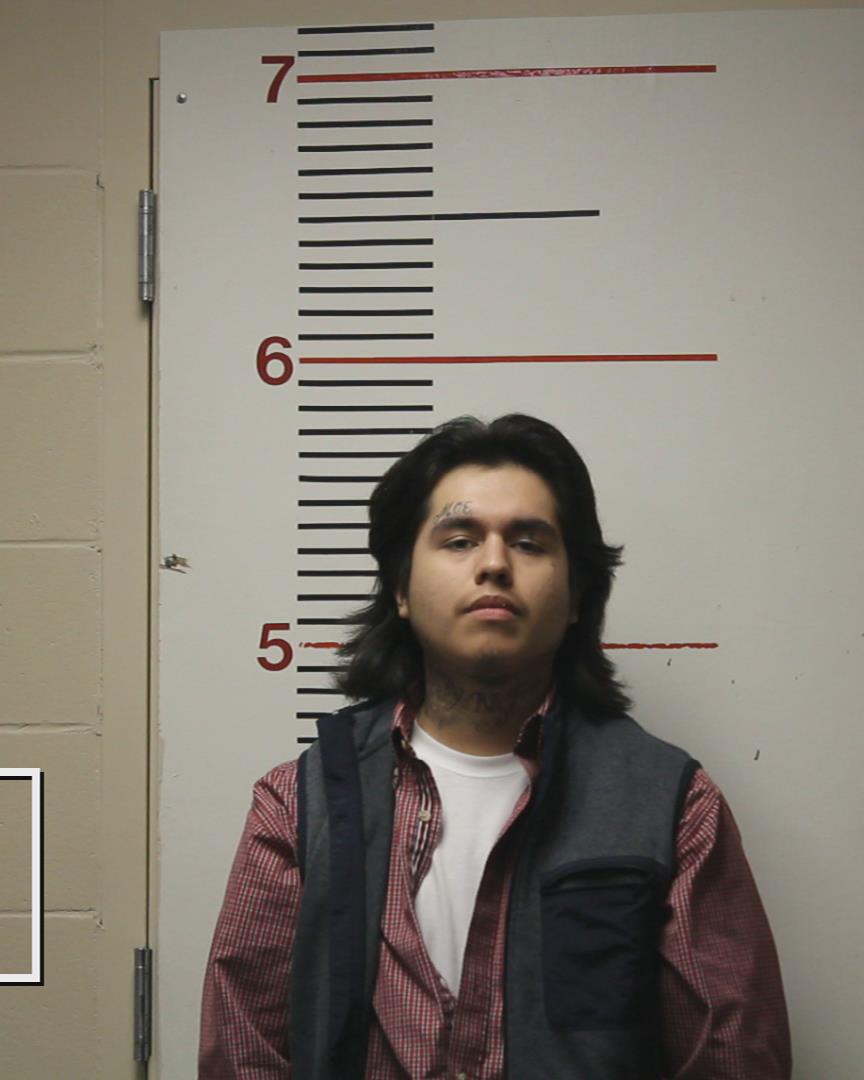 LEANDRO, RICARDO booking photo