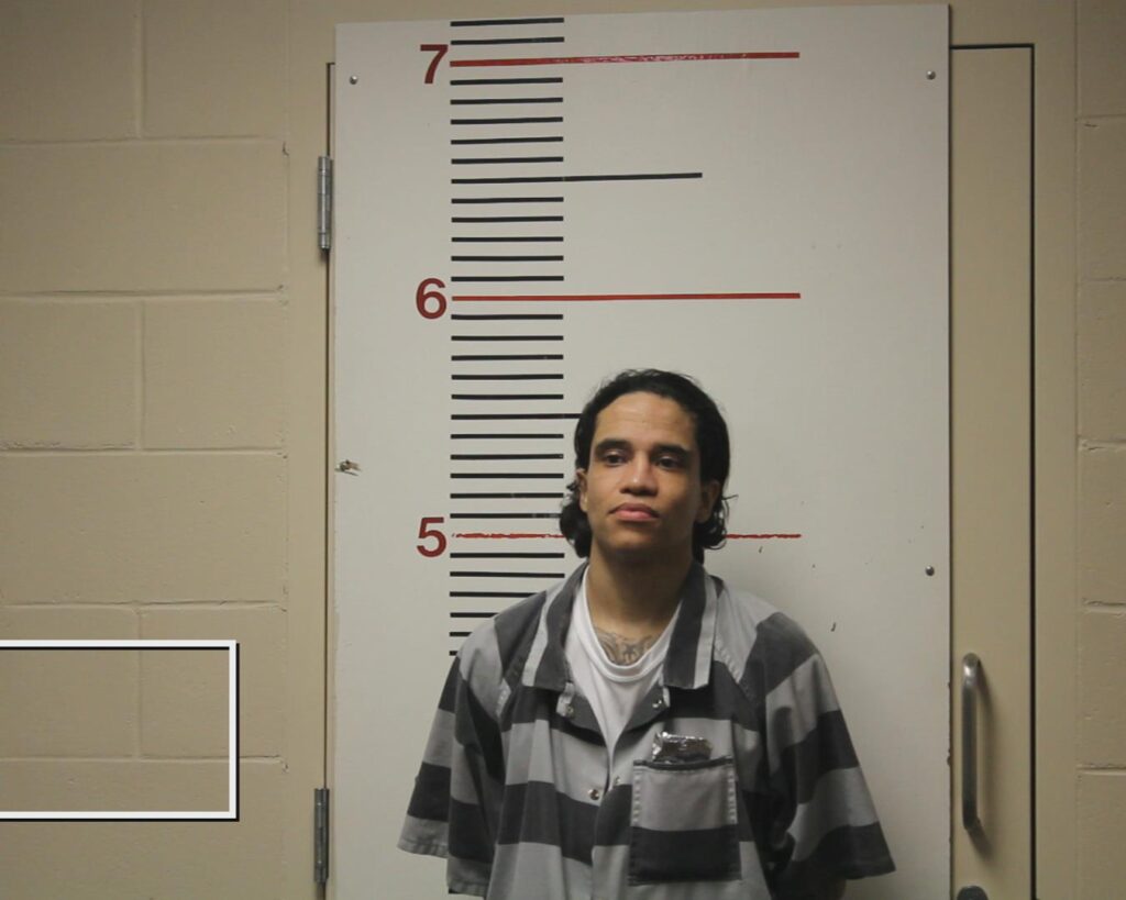 MEDINA-TORRES, HERIBERTO arrested in Anderson County, Texas mugshot