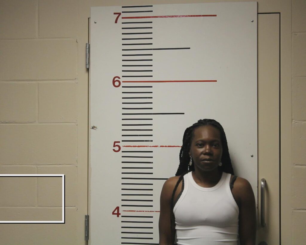 MCCRACKEN, KEANNA RENEE arrested in Anderson County, Texas mugshot