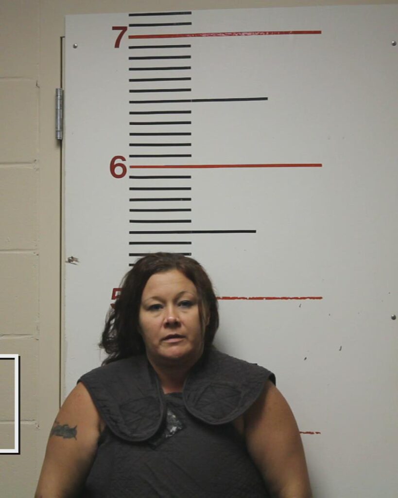 GREEN, KELLEY MARIE arrested in Anderson County, Texas mugshot