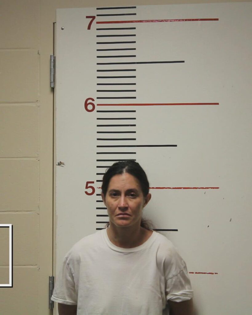 KILIAN, KERRI arrested in Anderson County, Texas mugshot