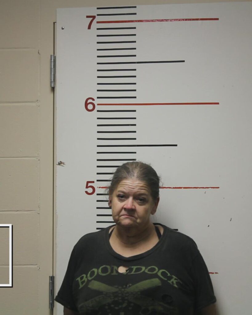 Porter, Terri Ann arrested in Anderson County, Texas mugshot