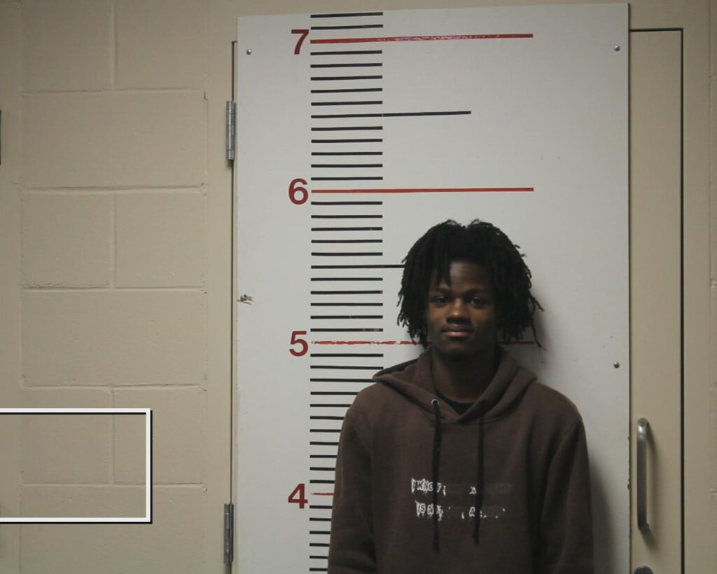 ADAMS, TEREIOUS DEVON arrested in Anderson County, Texas mugshot