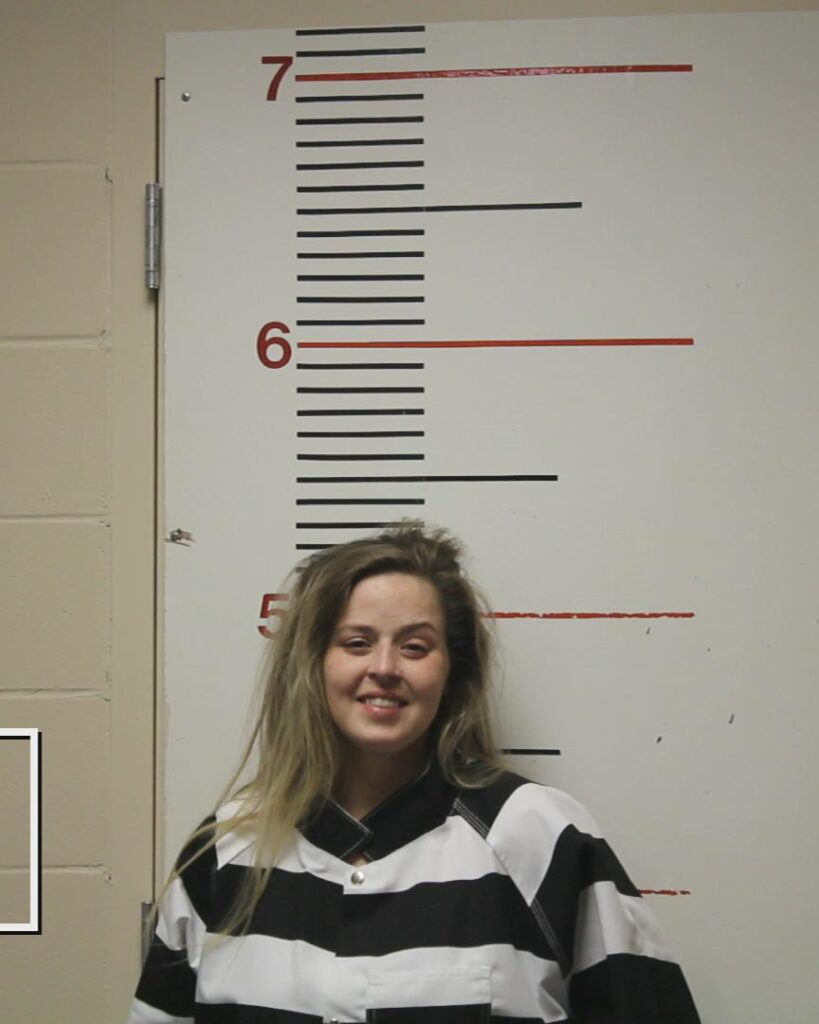 HARDISON, MANDIE BROOKE arrested in Anderson County, Texas mugshot
