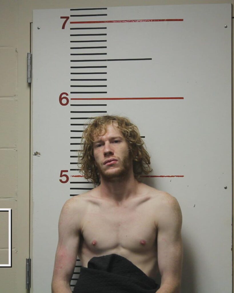 PEELER, WILLIAM SUNBLOM arrested in Anderson County, Texas mugshot
