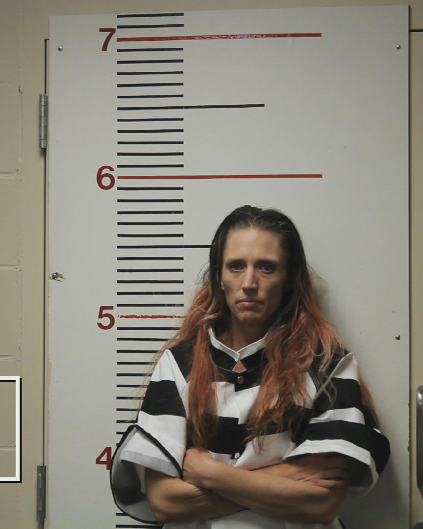 POWELL, VALERIE RENEE booking photo