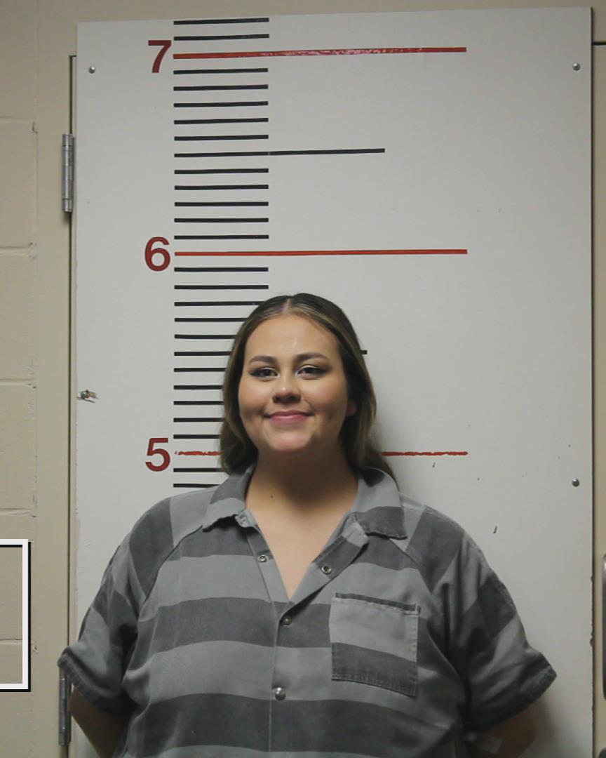 LANDERS, MICHALA JUANITA booking photo