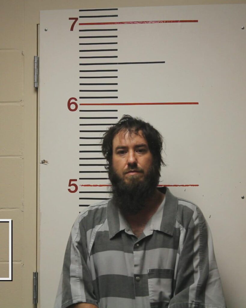 WILLS, PATRICK DOYLE arrested in Anderson County, Texas mugshot