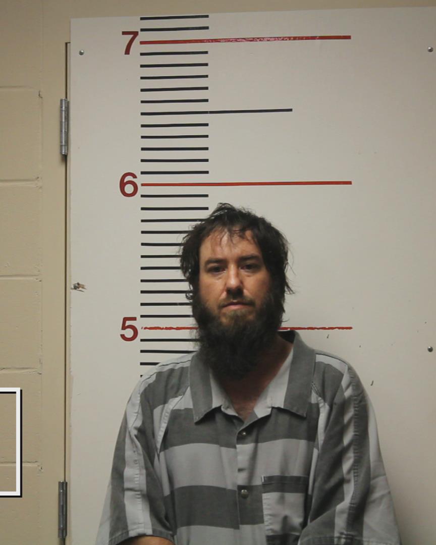 WILLS, PATRICK DOYLE booking photo