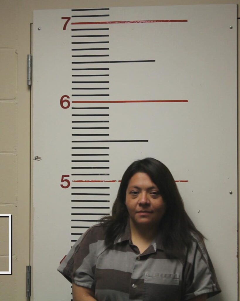 Rodriguez, Beatrice Lucille arrested in Anderson County, Texas mugshot