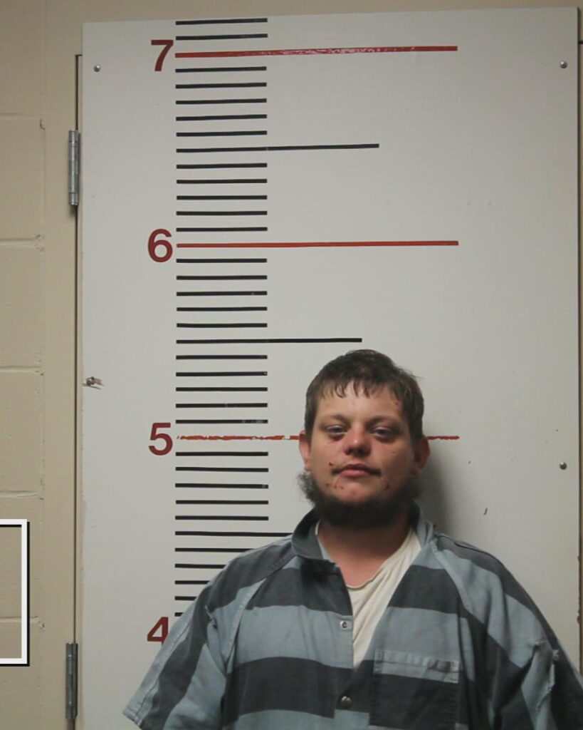 CRAWFORD, BYRON JAMES arrested in Anderson County, Texas mugshot