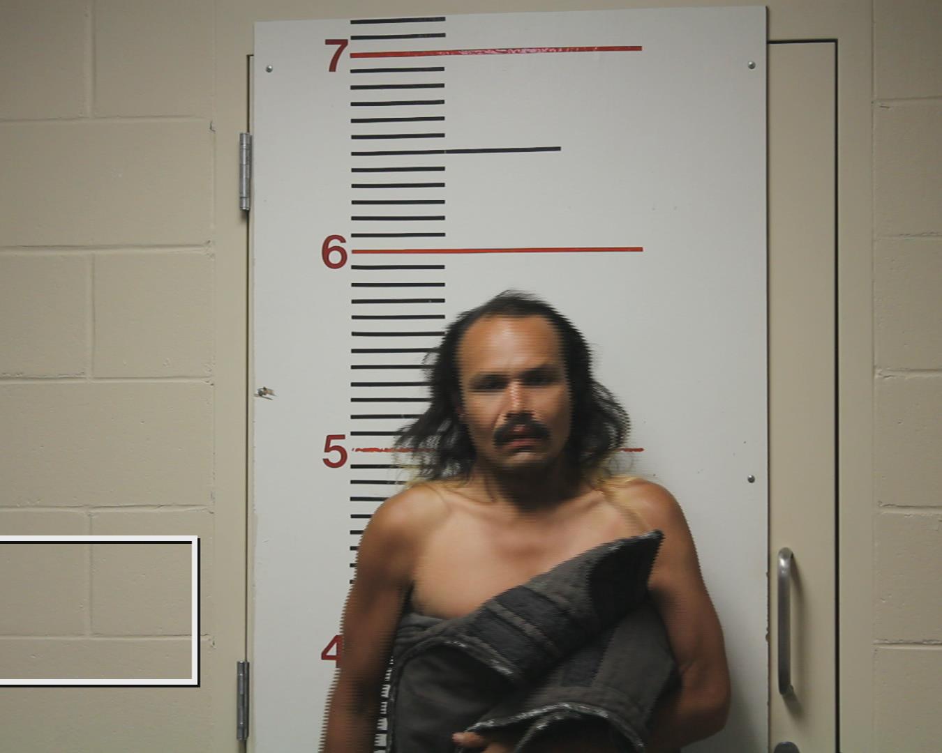 HERNANDEZ, GABRIEL ISAIAH booking photo