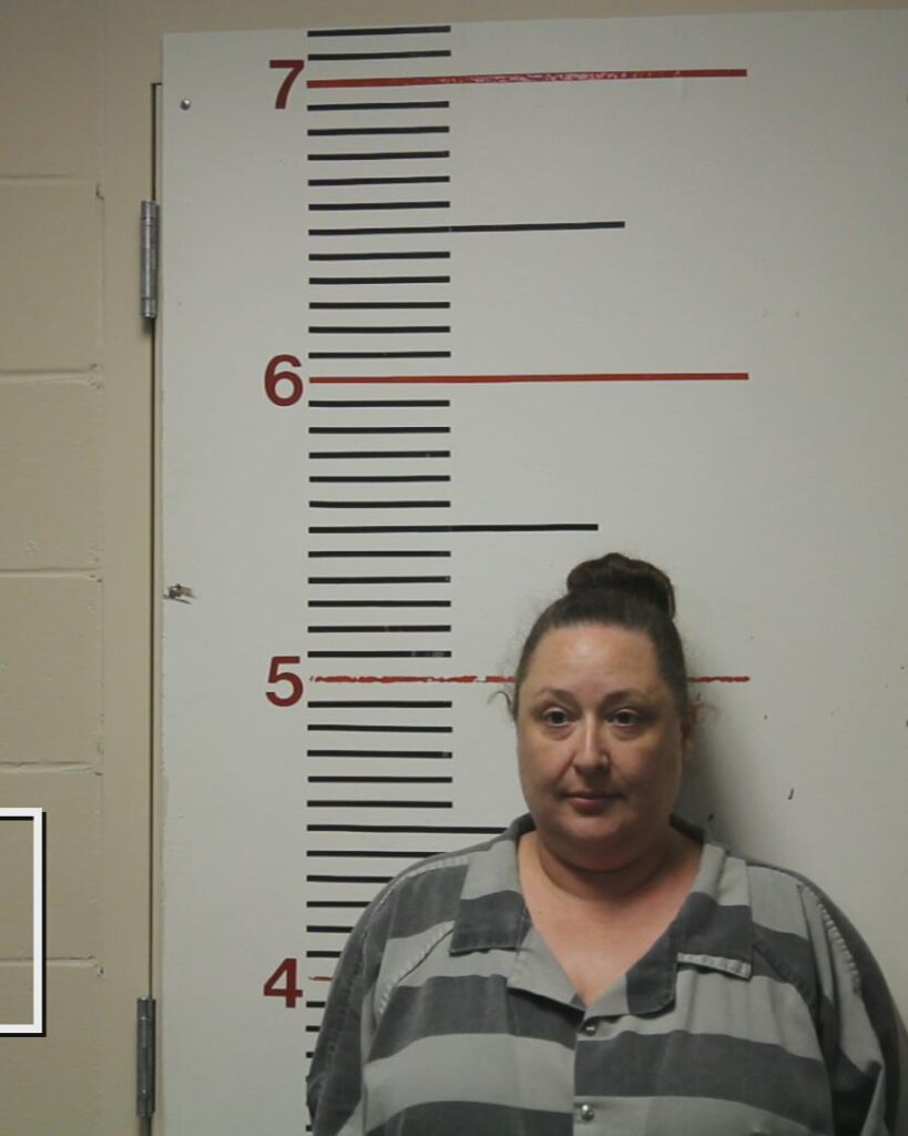 TREVINO, MISTINE RUIZ arrested in Anderson County, Texas mugshot