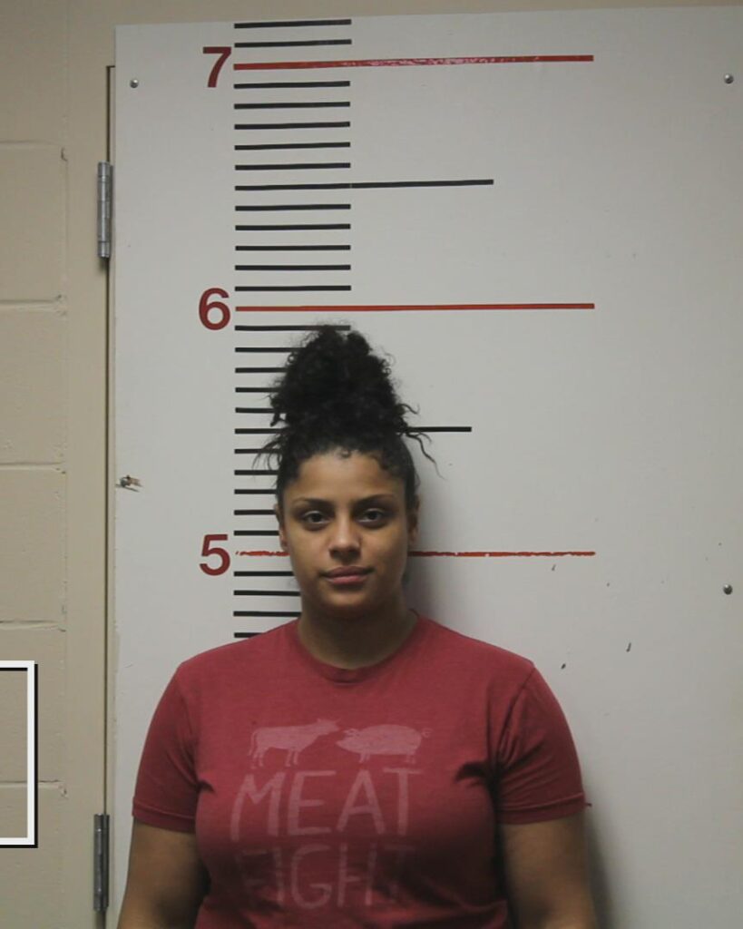 TILLIS, LACEY BRIANNA arrested in Anderson County, Texas mugshot