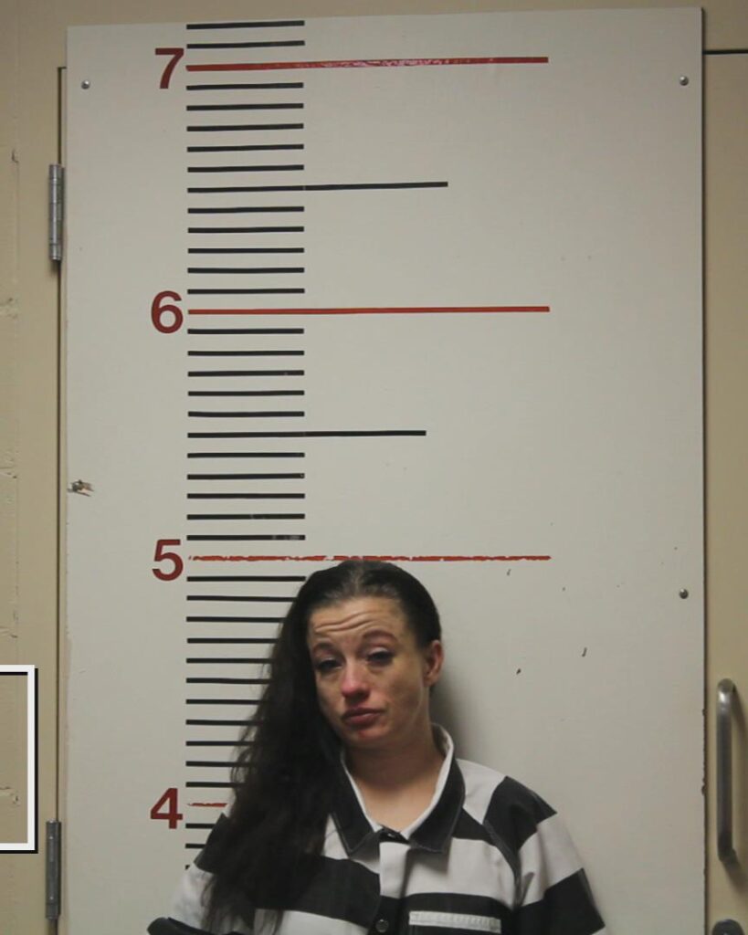 MELSON, MAGAN D arrested in Anderson County, Texas mugshot