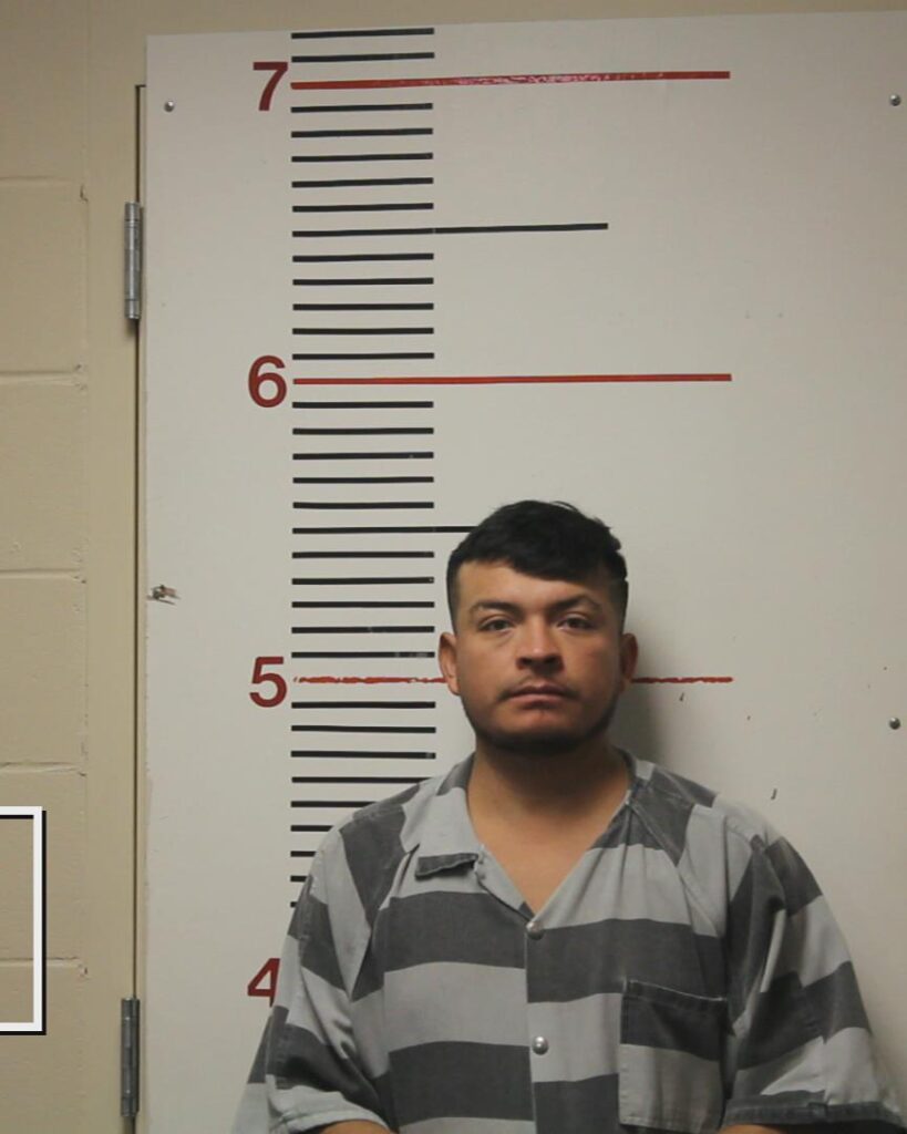 LEAL-AVILA, PEDRO JOSE arrested in Anderson County, Texas mugshot