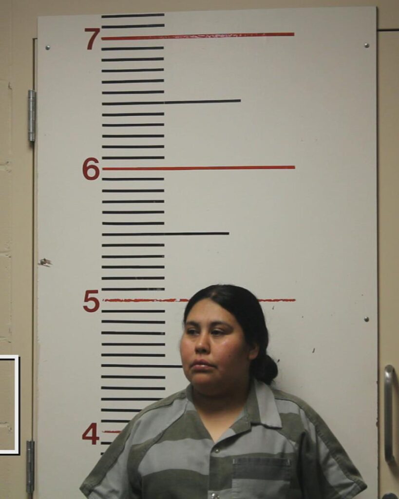 DELEON, BLANCA ICELA arrested in Anderson County, Texas mugshot