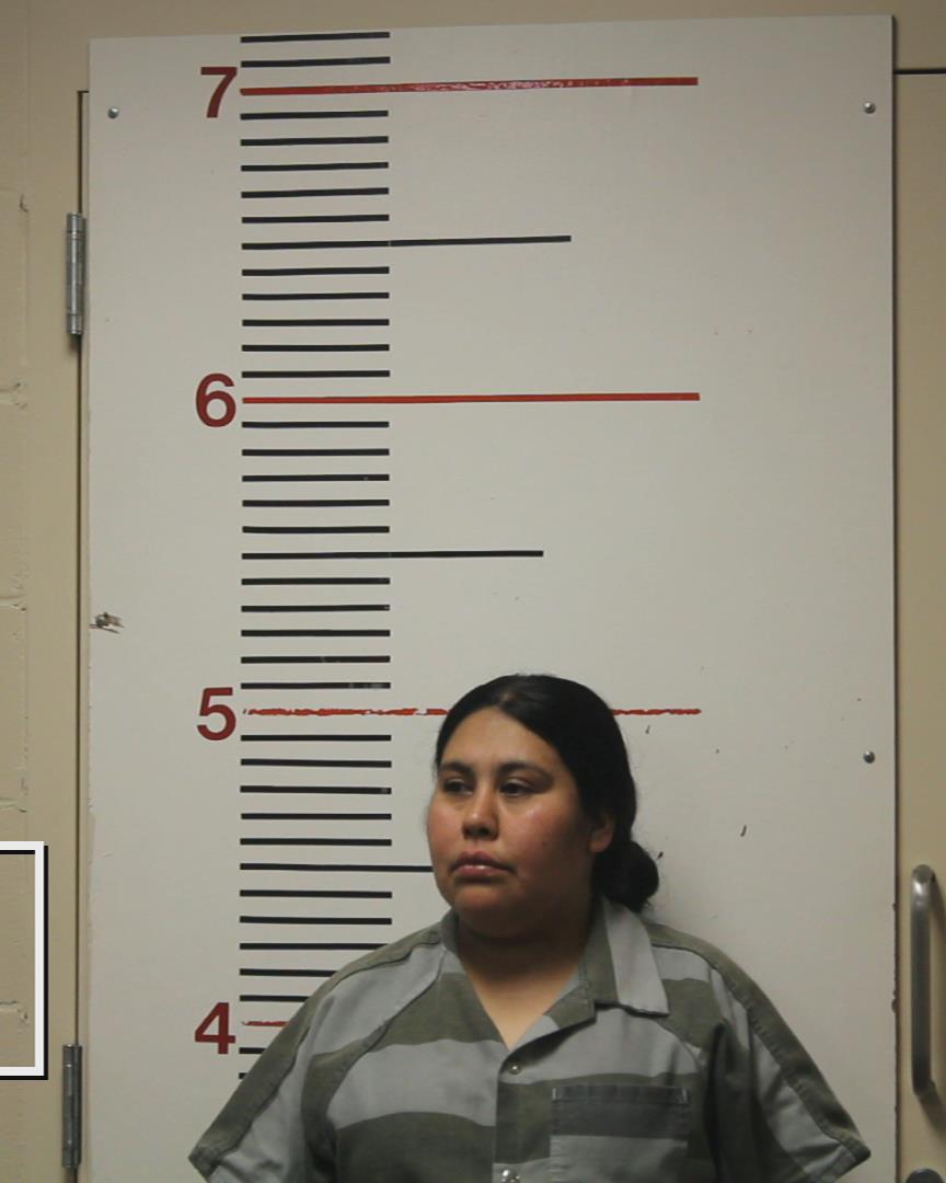 DELEON, BLANCA ICELA booking photo