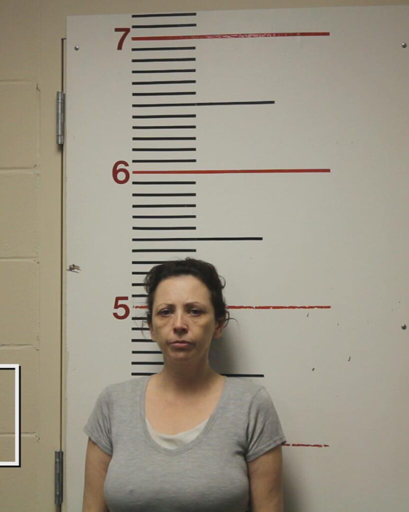 DAVIS, MARTINA SUE booking photo