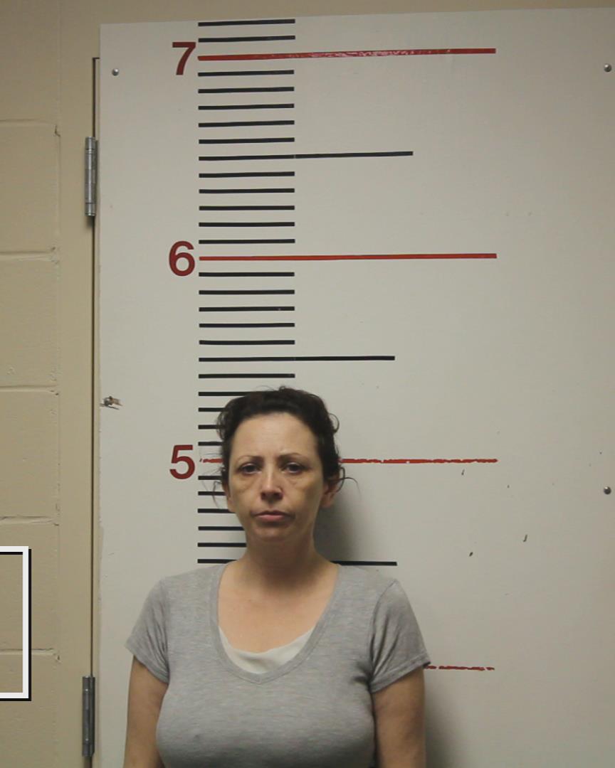 DAVIS, MARTINA SUE booking photo